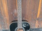 Professional Acoustic Guitar