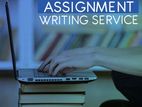 Professional Assignment Assistance