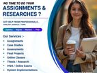 Professional Assignment Assistance