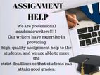 Professional Assignment Assistance Service