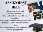 Professional Assignment Support