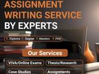 Professional Assignment Support