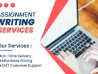 Professional Assignment Support Service