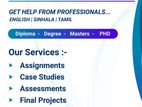 Professional Assignment Support Service