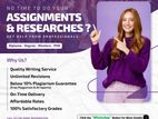 Professional Assignment Support Service