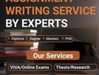 Professional Assignment Support Service