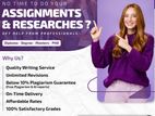 Professional Assignment Support Service