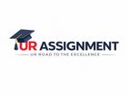 Professional Assignment Support Services