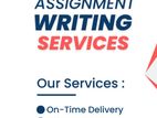 Professional Assignment Writing Support