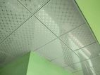 Professional Ceiling Work
