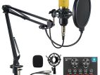 Professional Condenser Microphone with V8 Sound Card