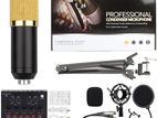 Professional Condenser Microphone with V8 Soundcard