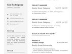 Professional CV & Other Writing Services