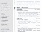 Professional CV Writing
