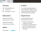 Professional CV/Resume / Other Writing Services