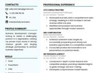 Professional CV / Resume Making Service