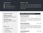 Professional CV Writing