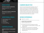 Professional CV Writing Service