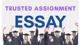 Professional Help in Assignments and Dissertations