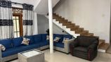 Professional house painting service