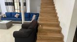 Professional house painting service