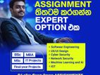 Professional IT & Computing Assignment Assistance