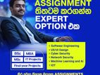 Professional IT and Computing Assignment Assistance