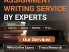 Professional IT and Computing Assignment Assistance