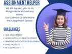 Professional IT Assignment Support Service