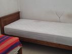 Room for Rent in Dehiwala