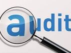 Professional Services - විගණන සේවා Audit Service