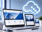 Website Development
