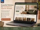 Professional Website Development