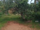 Profitable Running Hotel with Land for Sale – Ratnapura Road