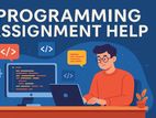 Programming Assignment Help - Coding
