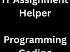 Programming Assignment Help - IT