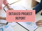 Project Report Services - PRS