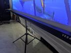 Projection Screen 72"x96"
