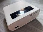 Projector Screen