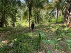Land for Sale in Walala - Kandy