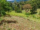 Land for Sale Kandy