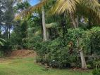 Land for Sale with A House Kirimatimulla