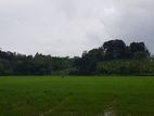 Land for Sale with A House Kirimatimulla