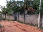 Land Sale மன்னார்