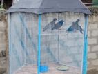 Bird Cage with Birds
