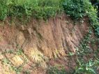 පස් Soil