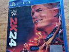 PS4 Game