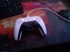PS5 Controller