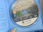 PS5 Hogwarts Legacy