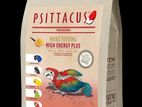 Psittacuse Hand Feeding Formula